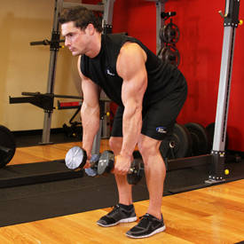 two dumbbell row